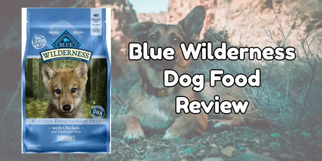 Blue Wilderness Dog Food Review