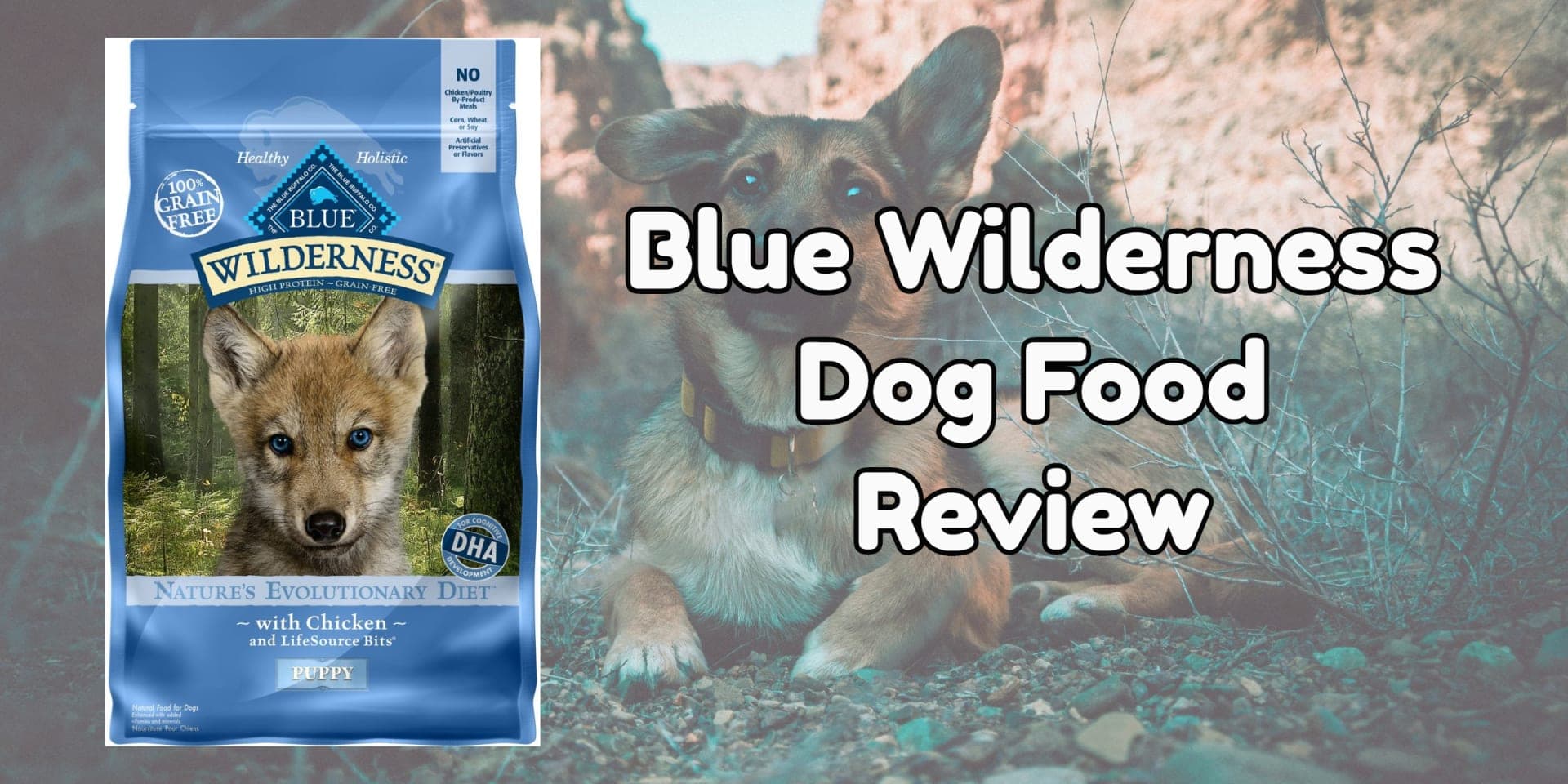 Blue Wilderness Dog Food Review