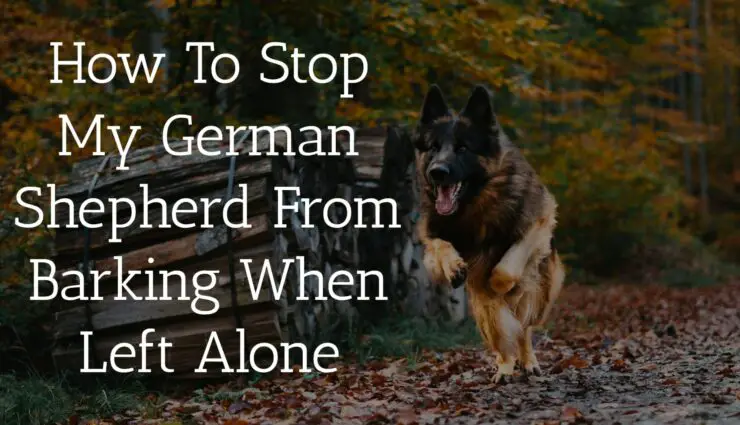 How To Stop My German Shepherd From Barking When Left Alone