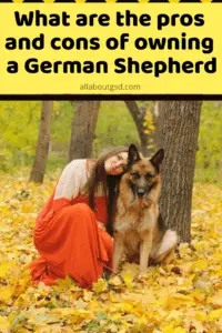 What Are The Pros And Cons Of Owning A German Shepherd