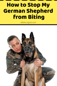 How To Stop My German Shepherd From Biting