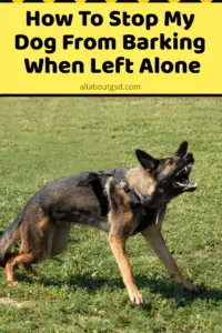 How To Stop My Gsd From Barking When Left Alone