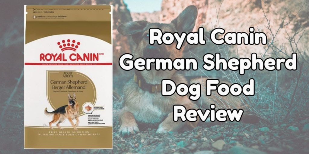 Royal Canin German Shepherd Dog Food Review