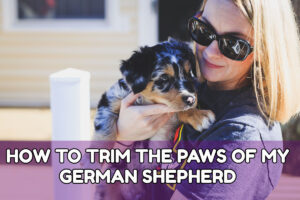 HOW TO TRIM THE PAWS OF MY GERMAN SHEPHERD