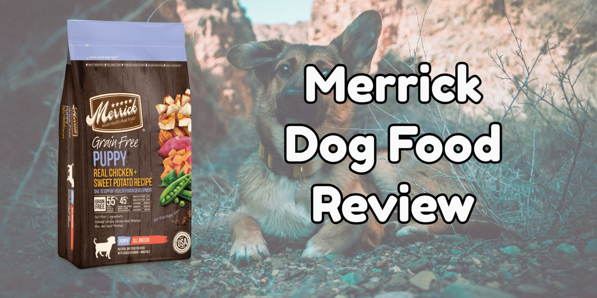 Merrick Dog Food Review