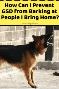 How Can I Prevent German Shepherd From Barking At People I Bring Home?