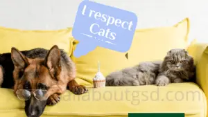 Do German Shepherds Get Along With Cats