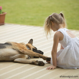 Are German Shepherds Good With Infants?