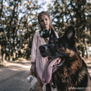 German Shepherd With Baby