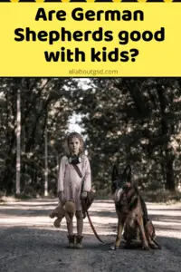 Are German Shepherds Good With Kids?