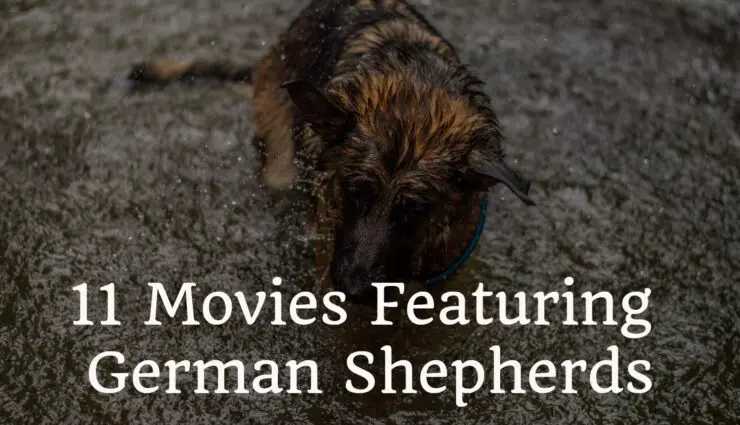 Movies Featuring German Shepherds