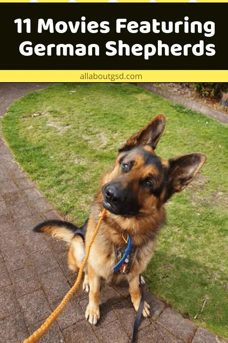 11 Movies Featuring German Shepherds All About German Shepherds