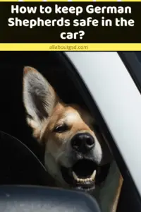 How To Keep German Shepherds Safe In The Car?