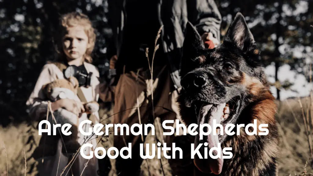 Are German Shepherds Good With Kids