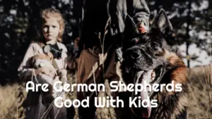 Are German Shepherds good with kids