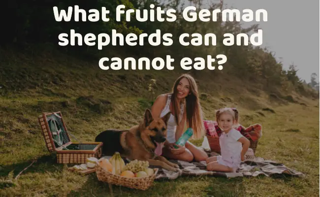 Fruits German Shepherds Can Eat