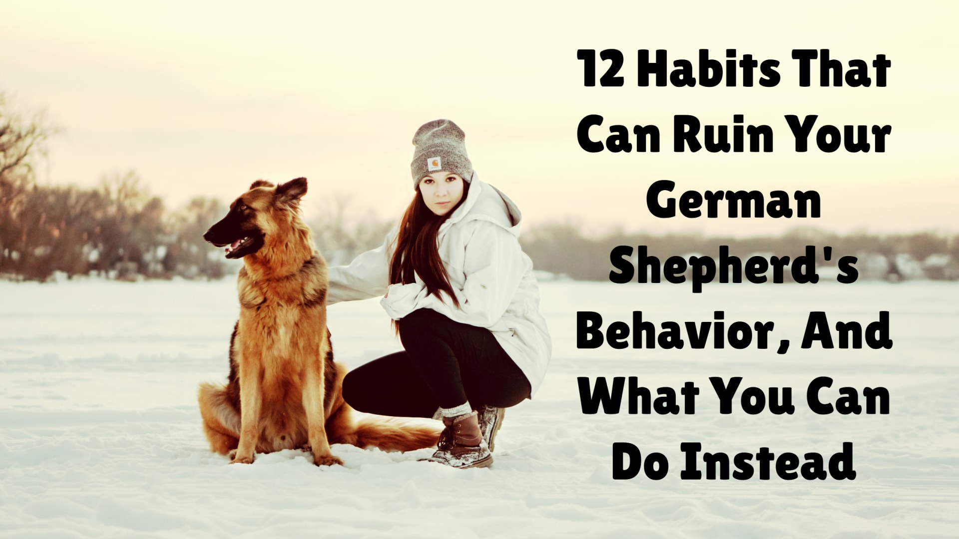 12 Habits That Can Ruin Your German Shepherd's Behavior, And What You Can Do Instead