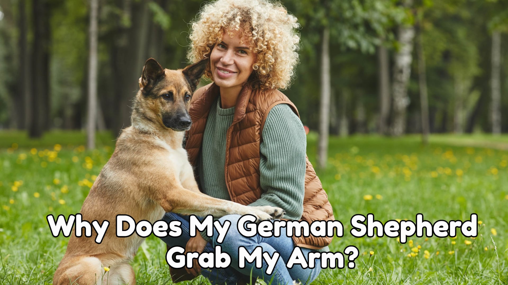 Why Does My German shepherd Grab My Arm?