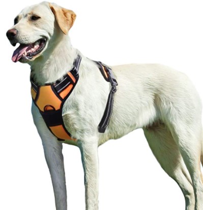 Best No Pull Dog Harness Eaglo Dog Harness No Pull Walking Pet Harness