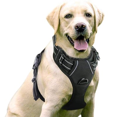 Best Padded German Shepherd Harness Rabbitgoo Dog Harness, No Pull Pet Harness