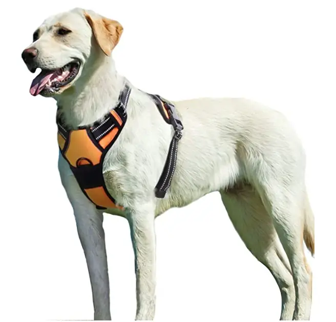 Eaglo Dog Harness No Pull Walking Pet Harness