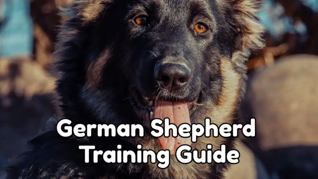German Shepherd Training Guide