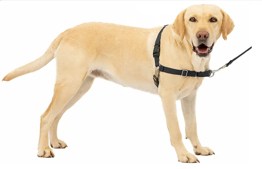 Petsafe Easy Walk Dog Harness