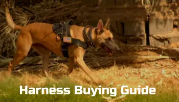 German Shepherd Harness Buying Guide
