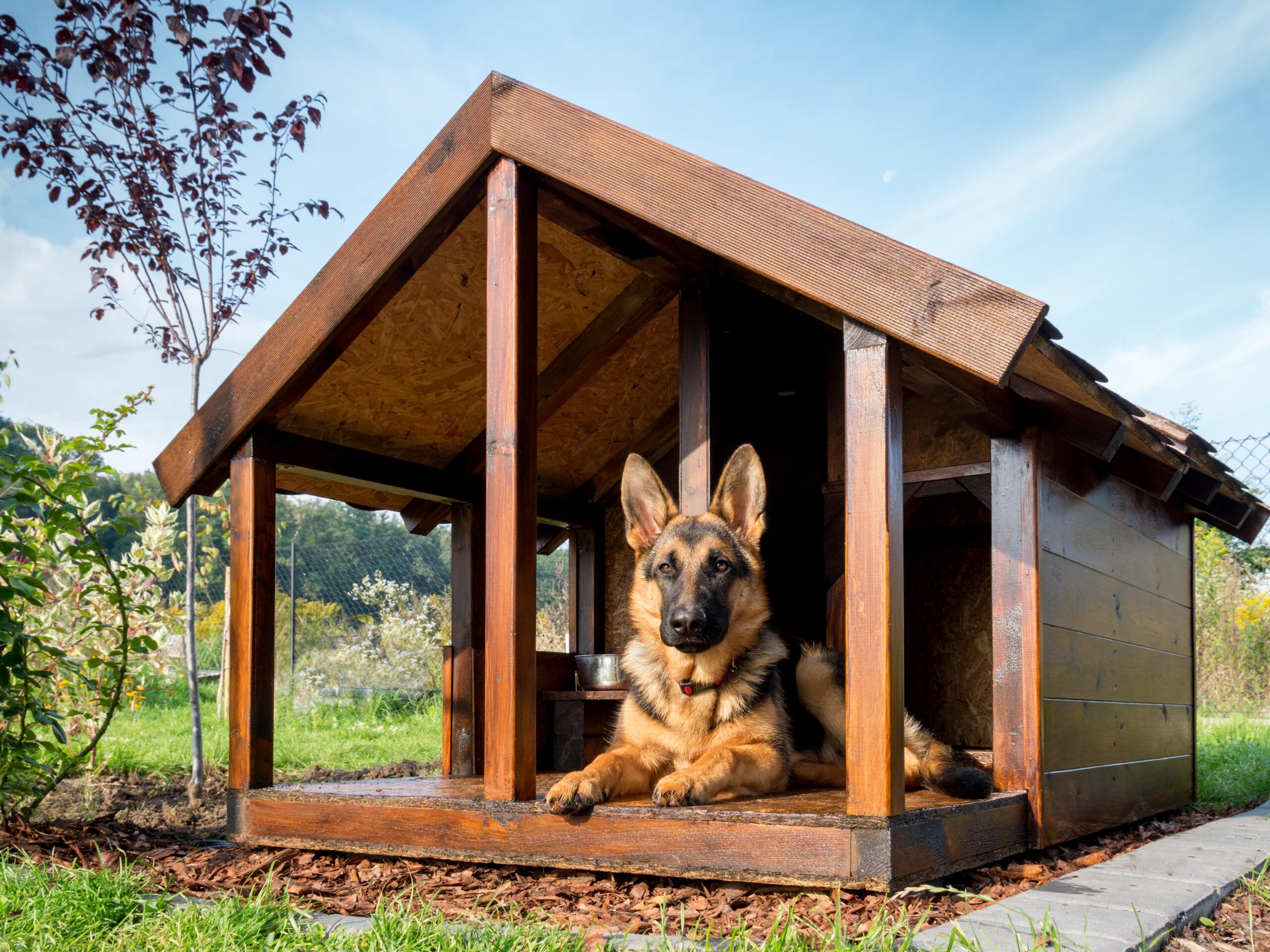 Best Dog House For German Shepherd